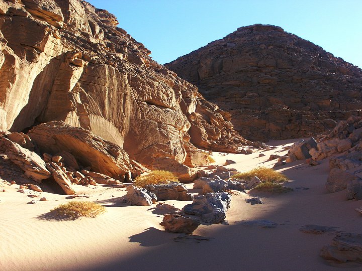 Western Desert